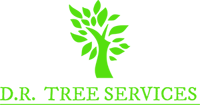 D. R. Tree Services – Tree Surgeon