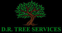 D. R. Tree Services – Tree Surgeon